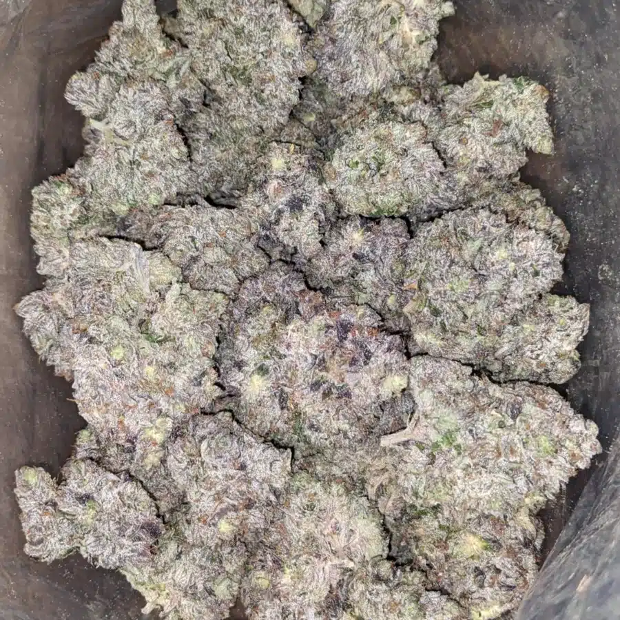 Obama Kush AAAA 2 I Obama Kush AAAA