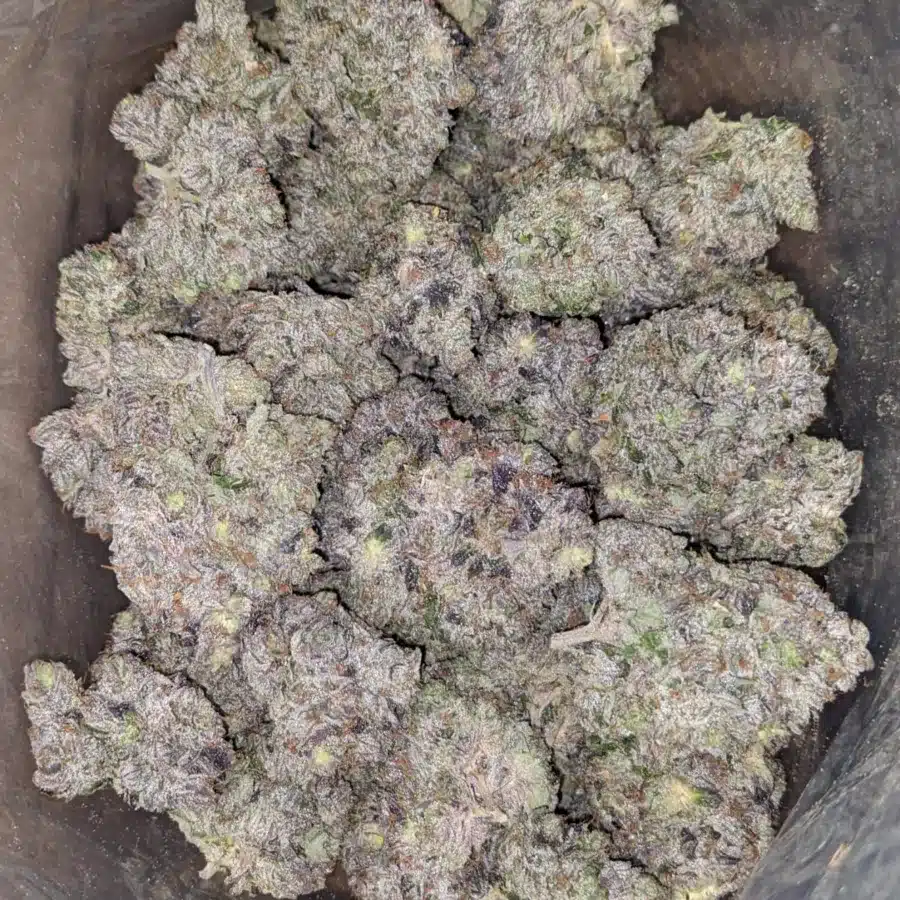 Obama Kush AAAA 3 I Obama Kush AAAA
