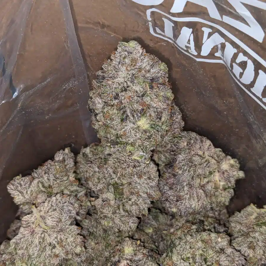 Obama Kush AAAA 4 I Obama Kush AAAA