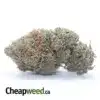 Pink Gas #2