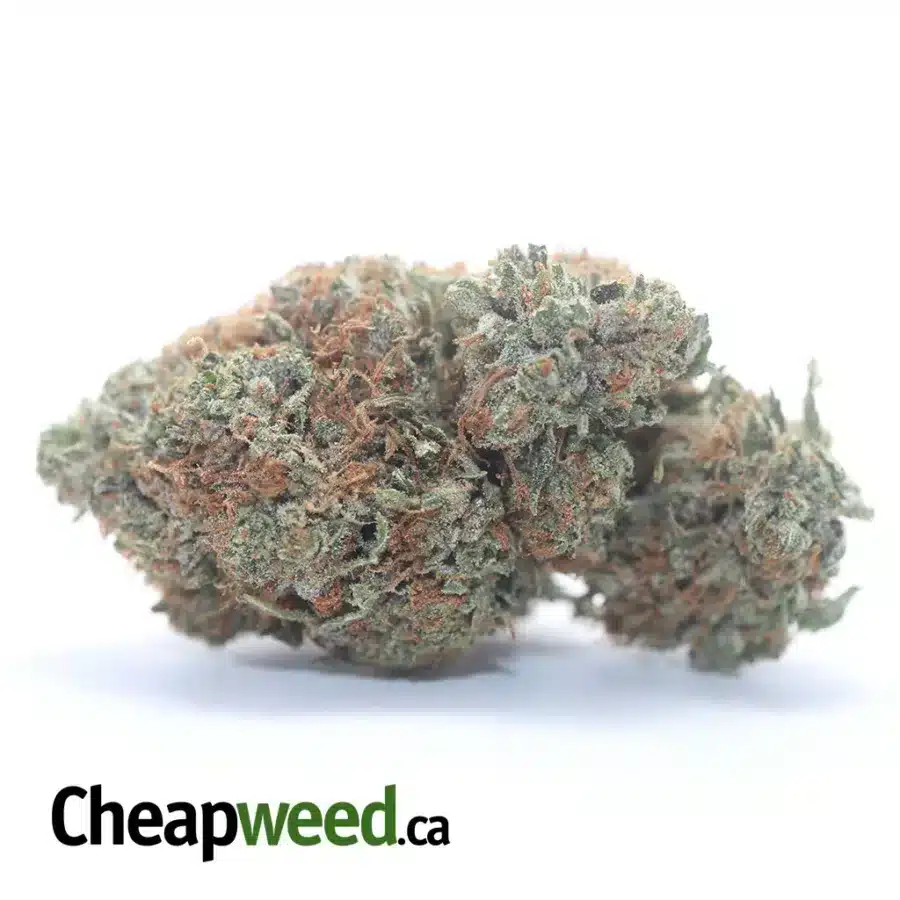 Pink Gas #2