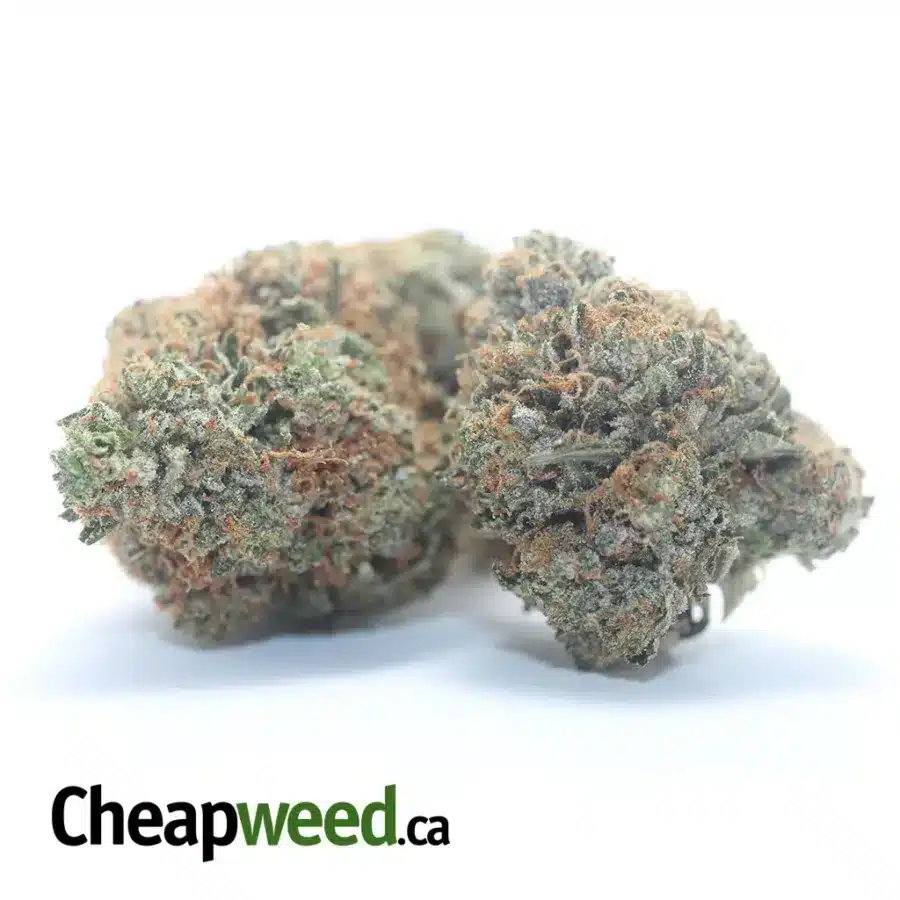 Alternative view of Pink Gas #2