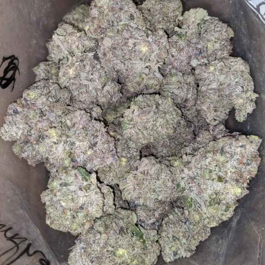 Pink Panther