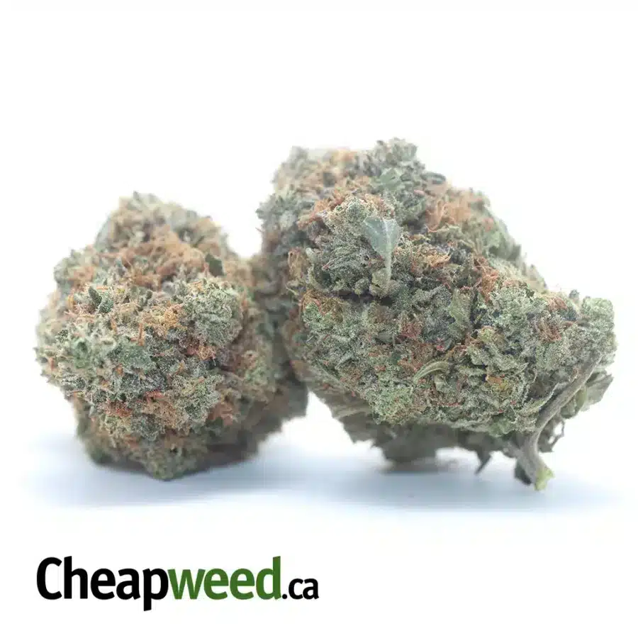 PINK STAR 3 I $85 Oz - Pink Star
