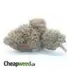 Platinum Blackberry