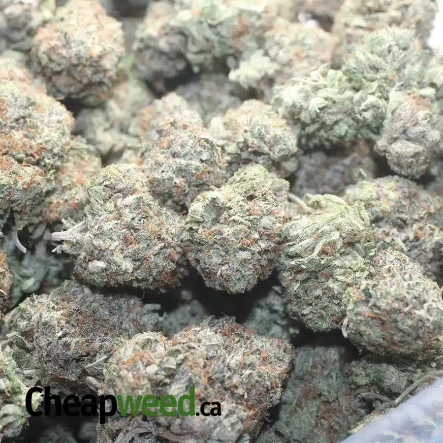 PRE 98 BUBBA KUSH 1 I $ 69 Oz - Pre Bubba Kush