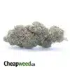Purple Candy
