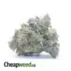 Purple Trainwreck