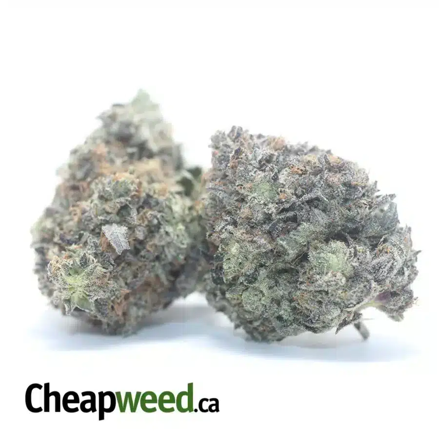 PURPLE TRAINWRECK 3 I Purple Trainwreck