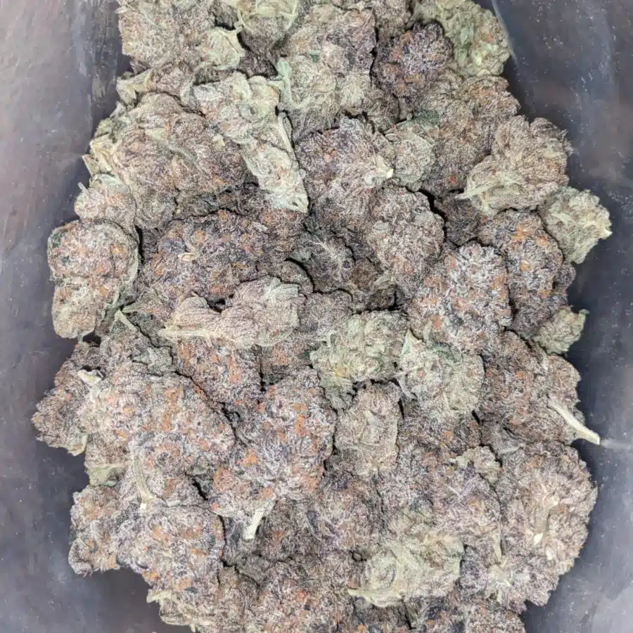 Peanut Butter Breath 1 I Peanut Butter Breath