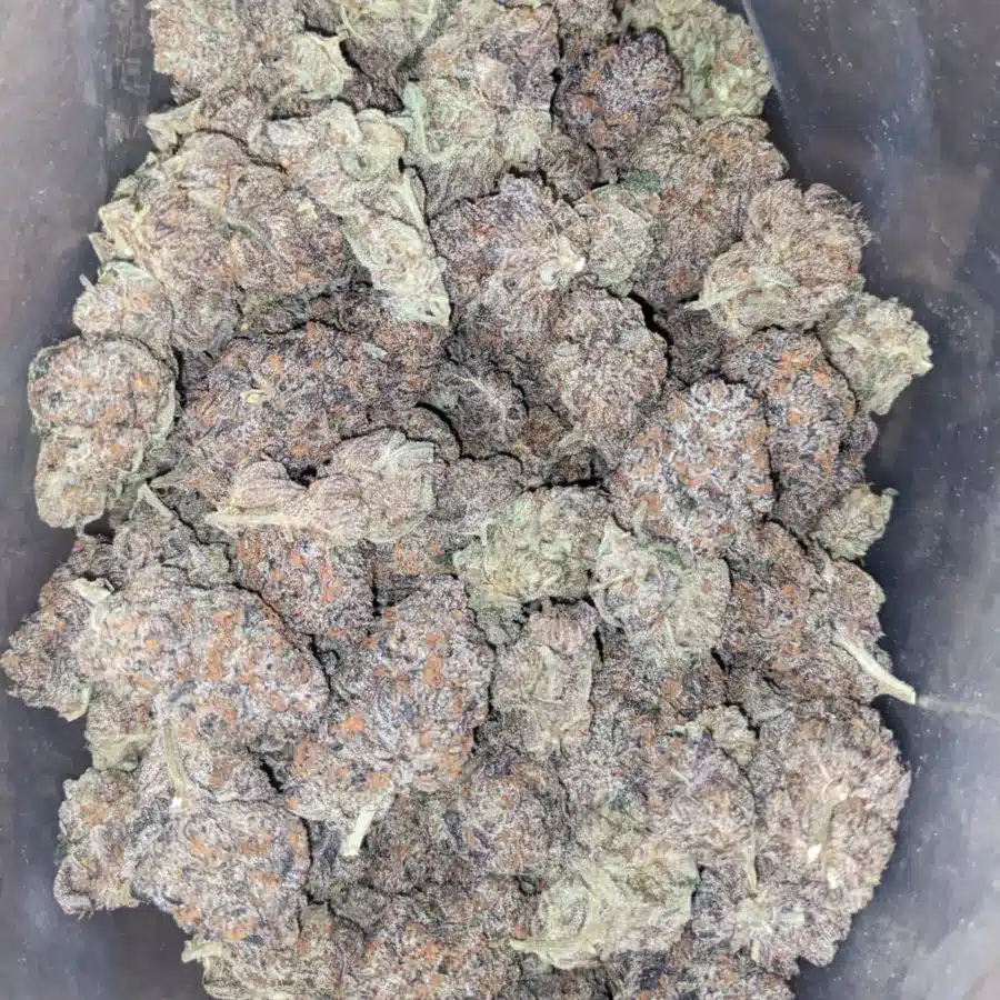 Peanut Butter Breath 2 I Peanut Butter Breath