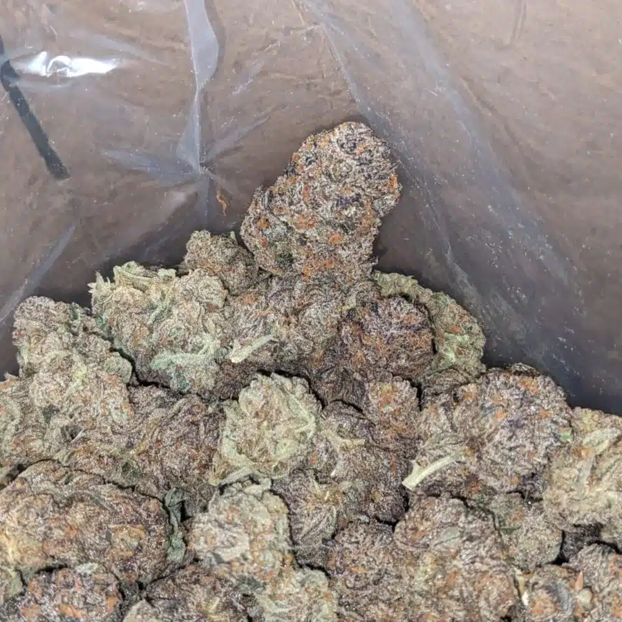 Peanut Butter Breath 3 I Peanut Butter Breath