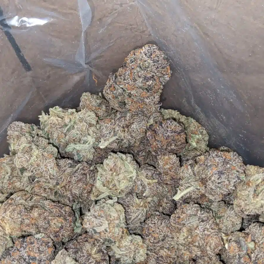 Peanut Butter Breath 4 I Peanut Butter Breath