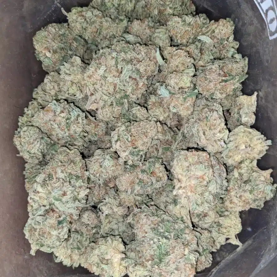 Pineapple
