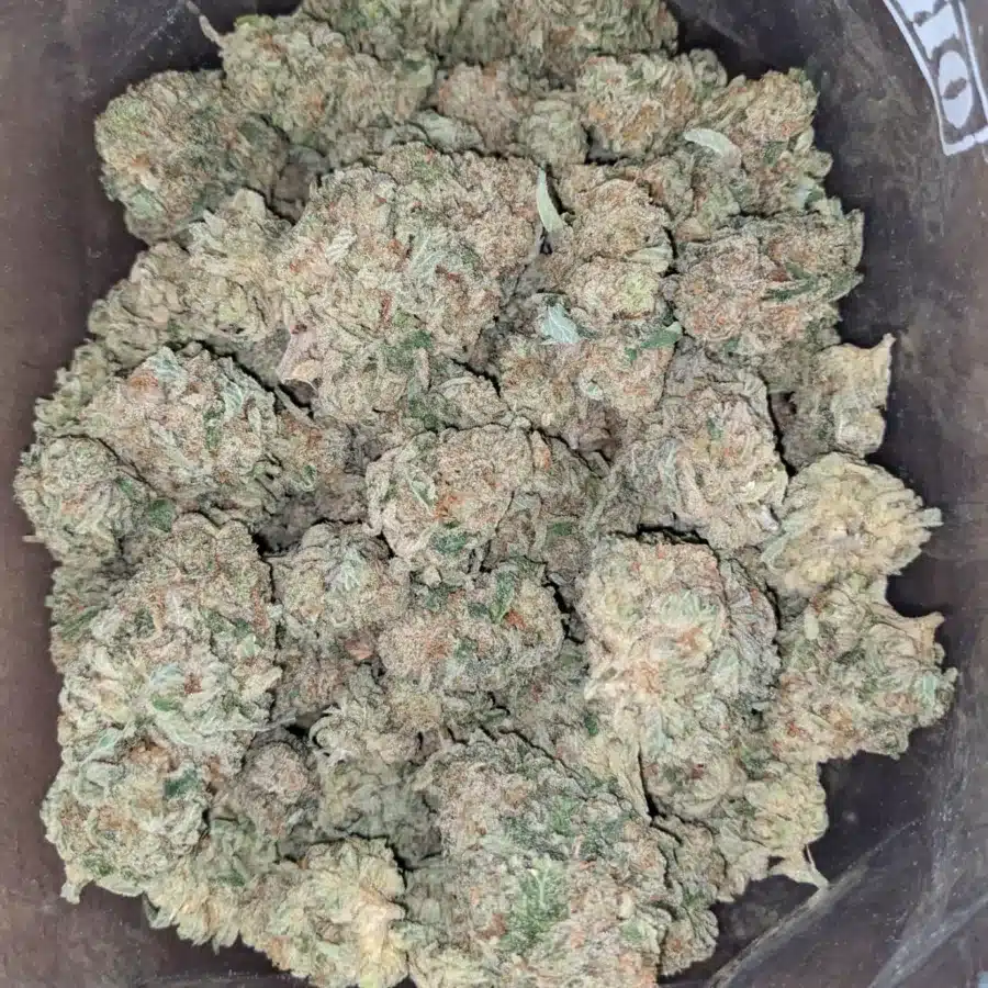 Pineapple 2 I Pineapple