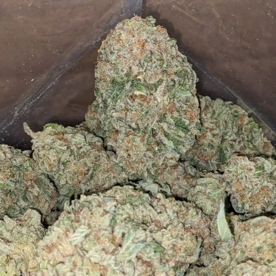 Pineapple 3 I Pineapple