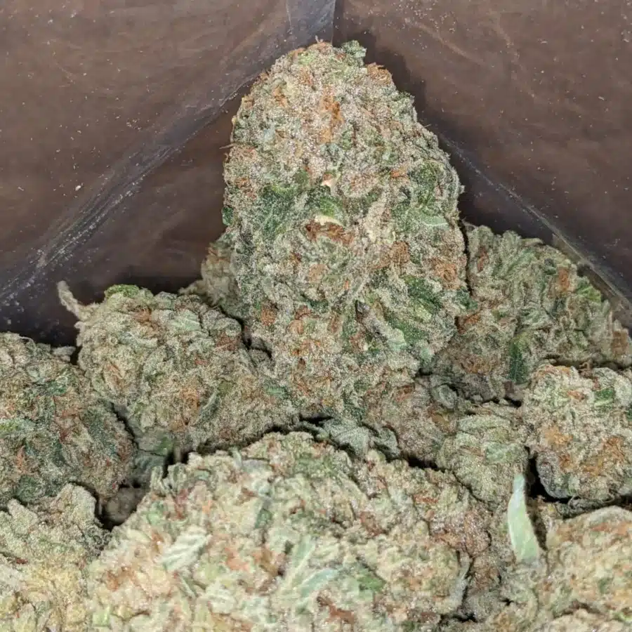 Pineapple 4 I Pineapple
