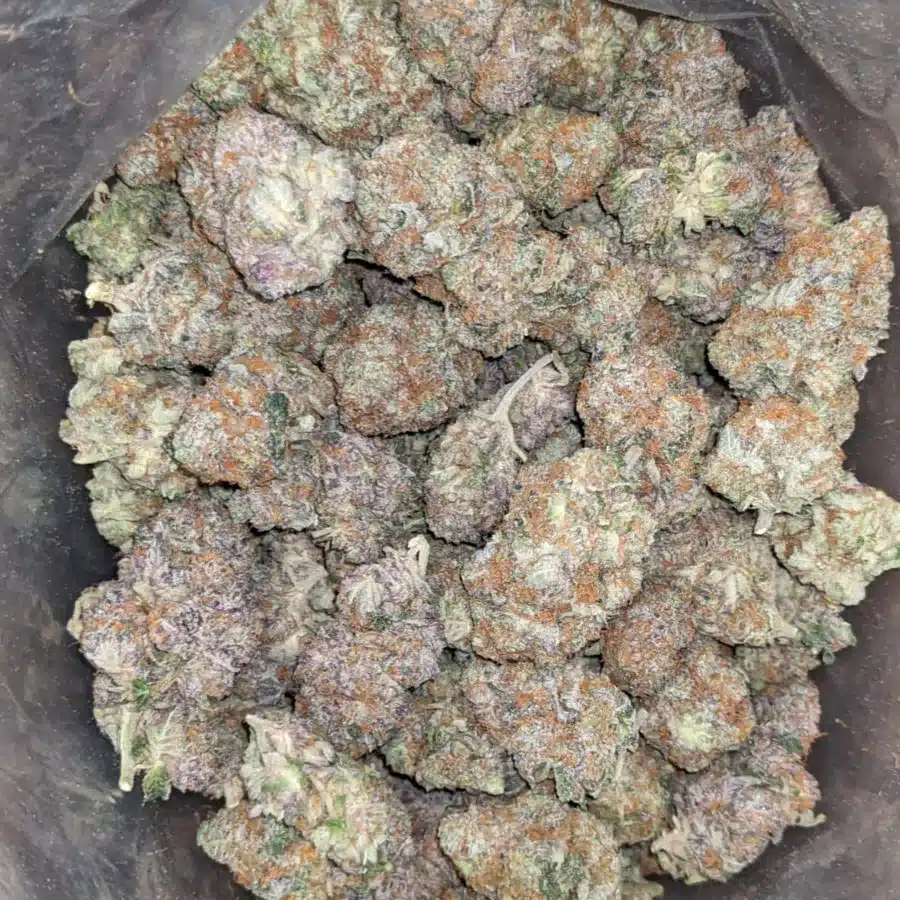Pink Acai 1 I Pink Acai