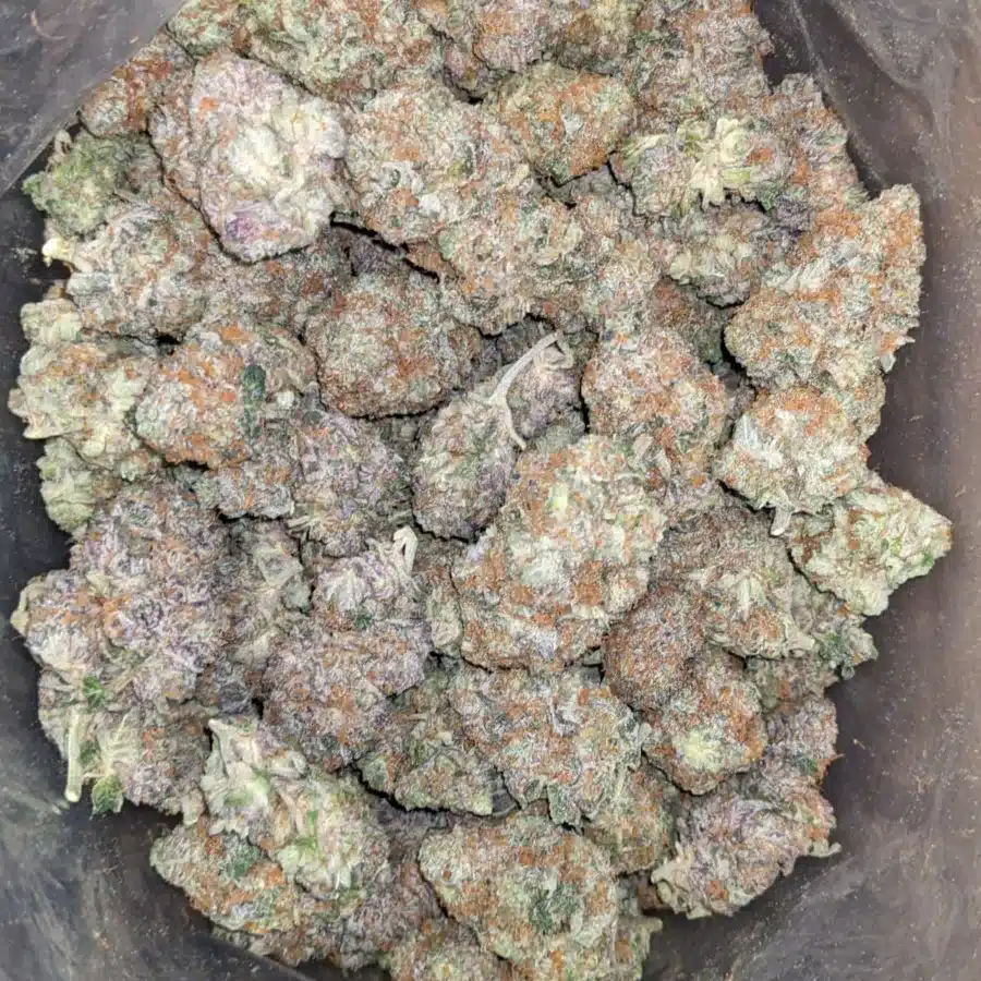 Pink Acai 2 I Pink Acai