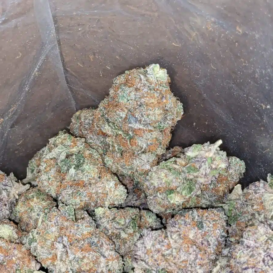 Pink Acai 3 I Pink Acai