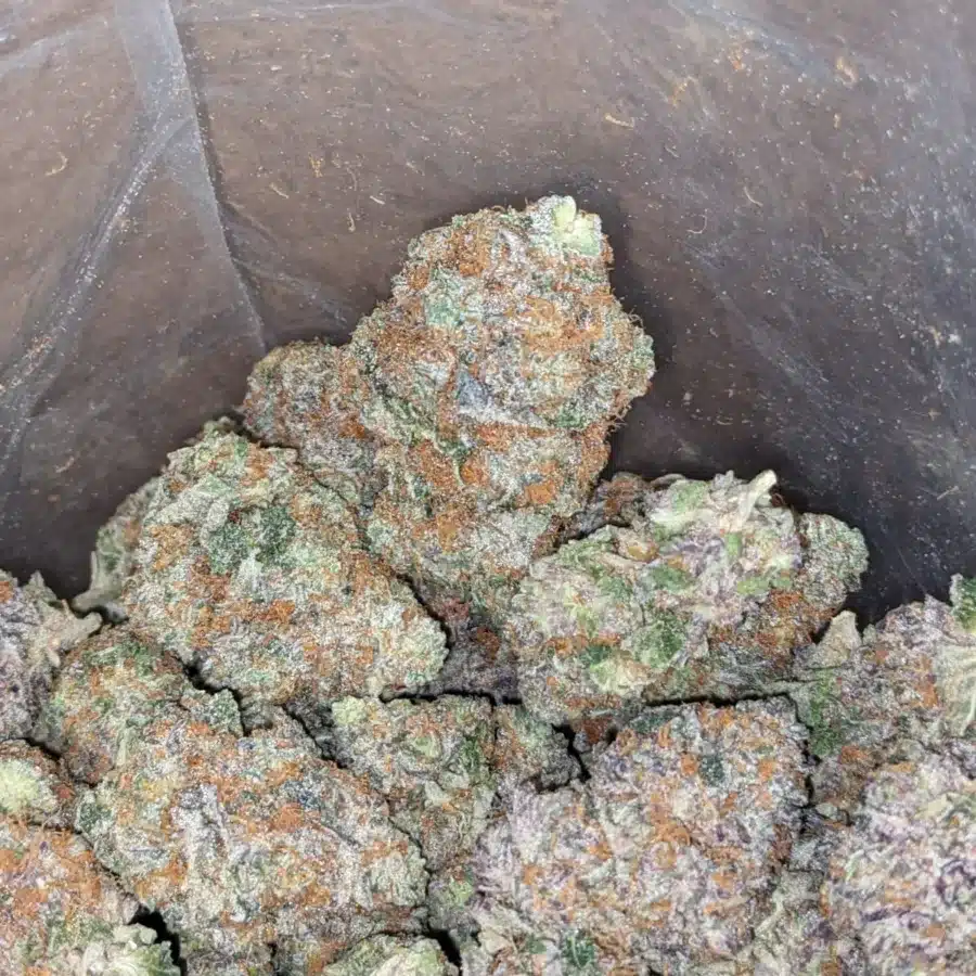 Pink Acai 4 I Pink Acai