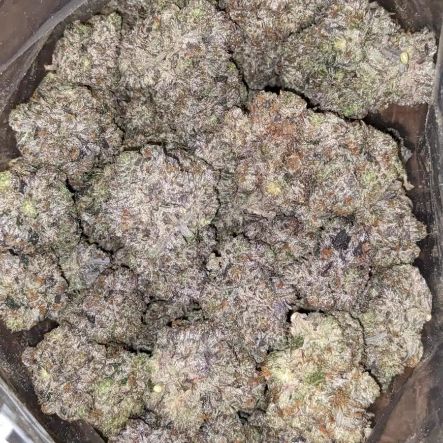 Pink Rockstar AAAA 1 I Pink Rockstar AAAA