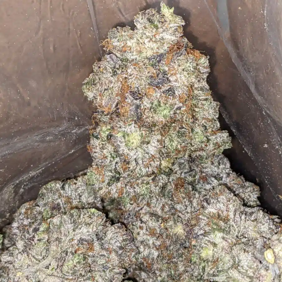 Pink Rockstar AAAA 2 I Pink Rockstar AAAA