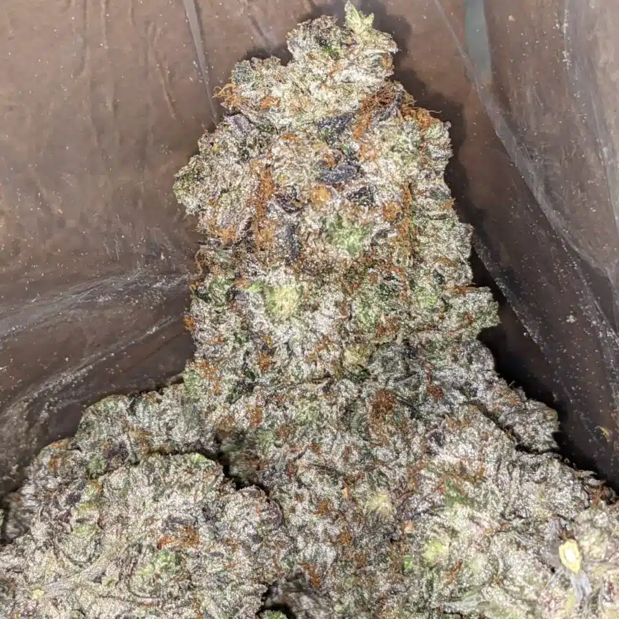 Pink Rockstar AAAA 3 I Pink Rockstar AAAA