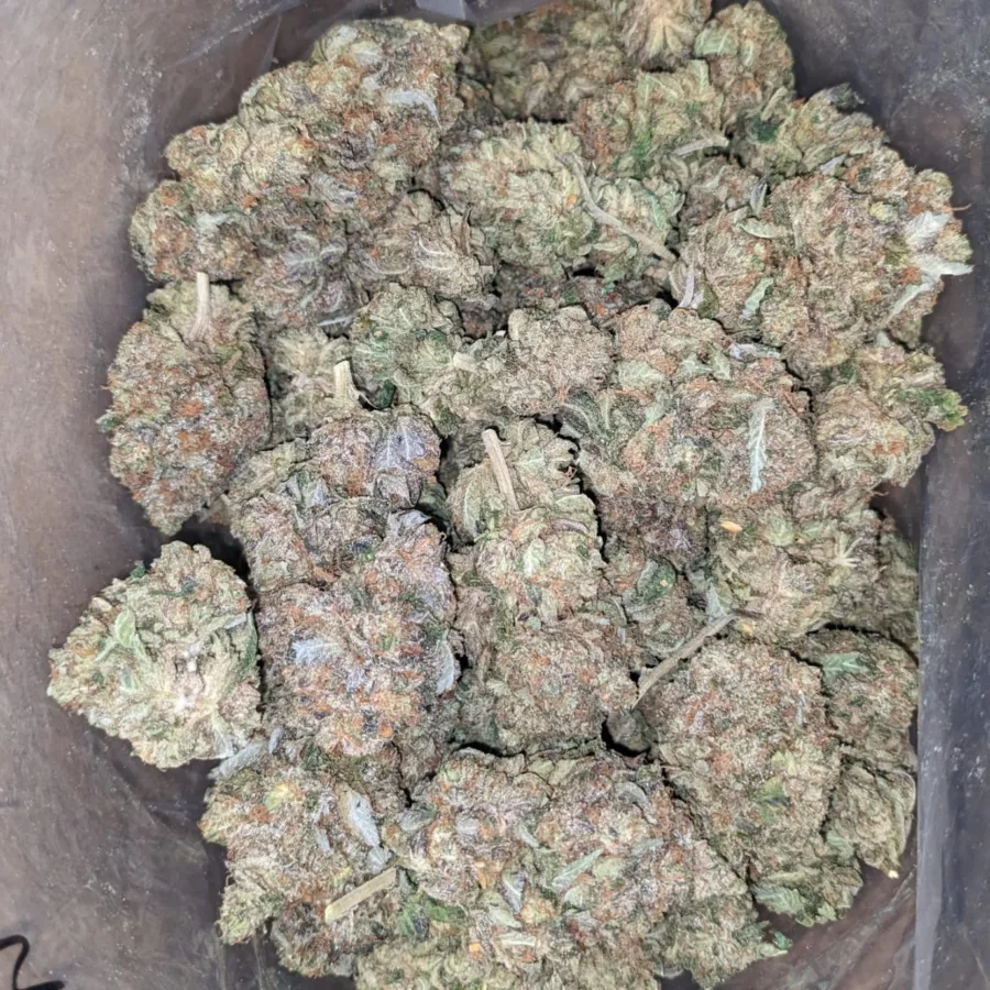 Pink Star