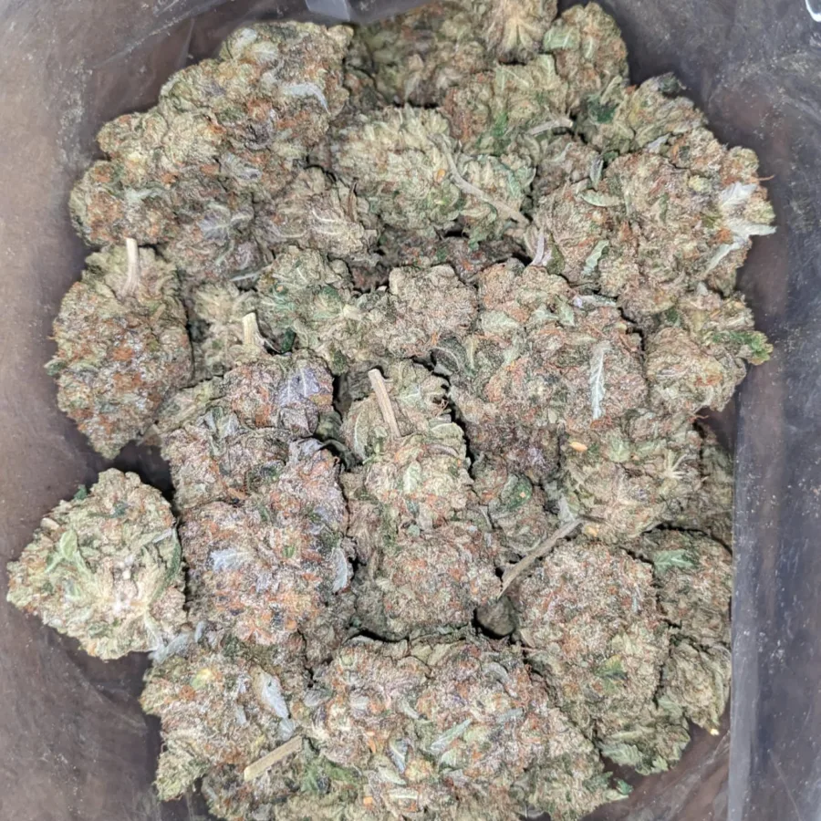 Alternative view of Pink Star