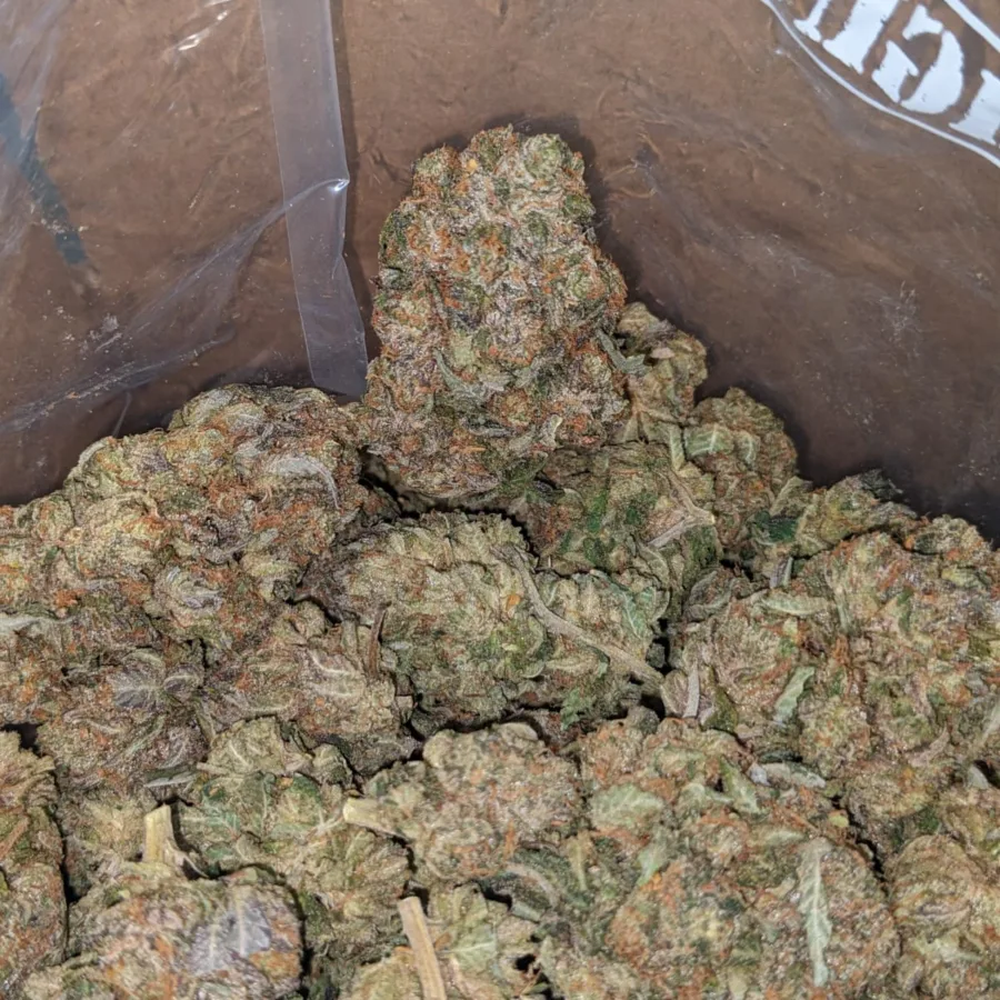 Pink Star - Image 5