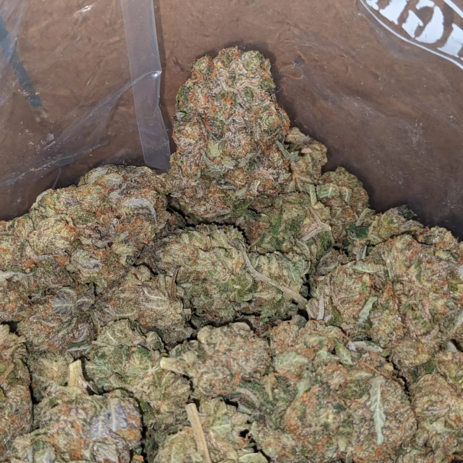 Pink Star - Image 4