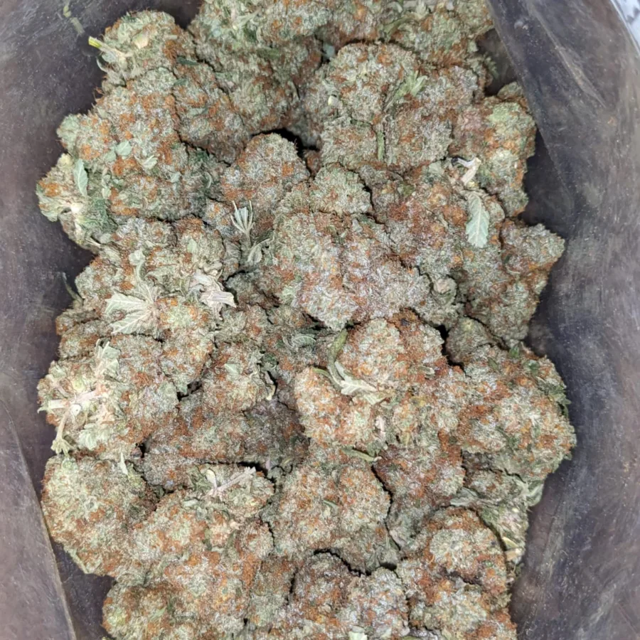 Alternative view of Platinum Blackberry