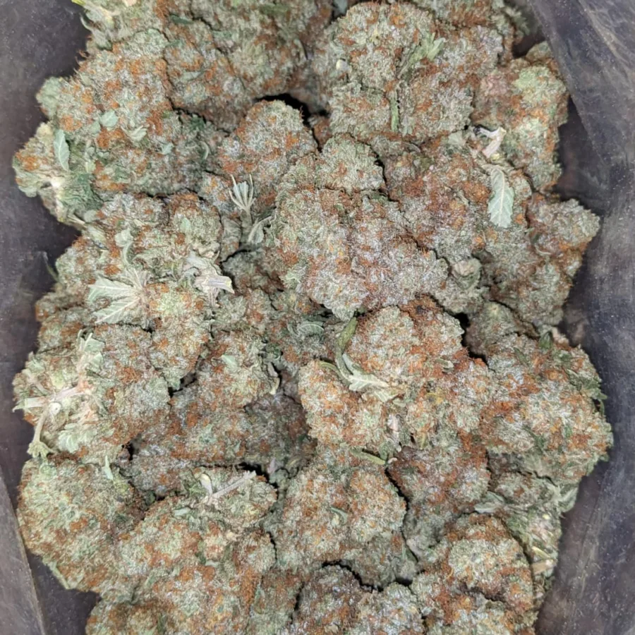 Platinum Blackberry