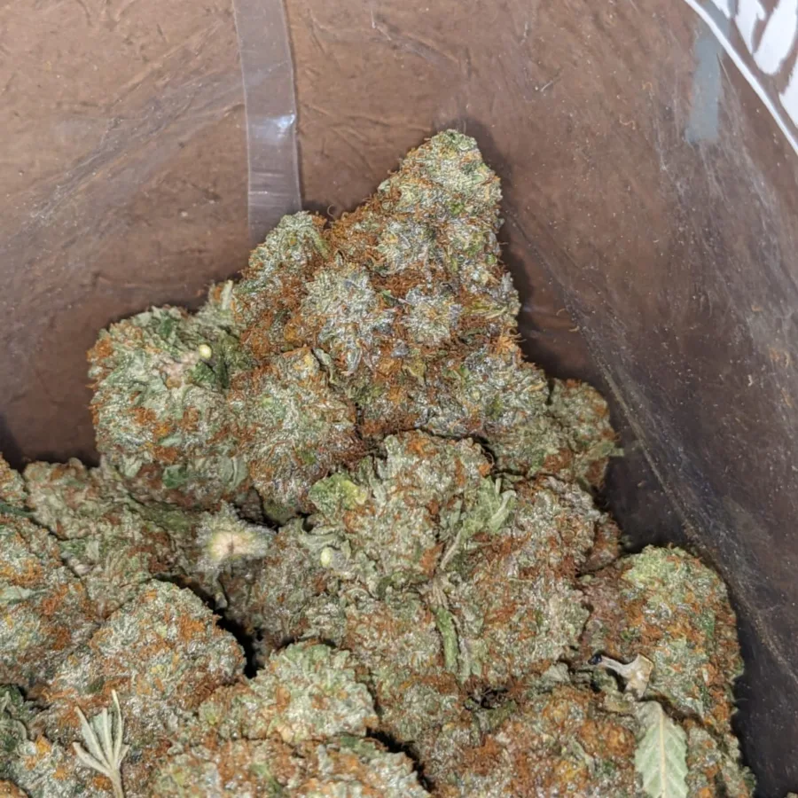 Platinum Blackberry - Image 3