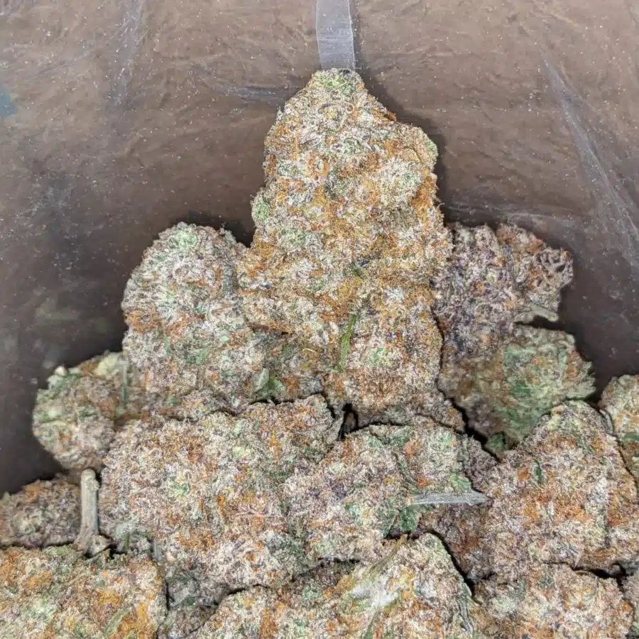 Purple Acai Berry 3 1 I Purple Acai Berry