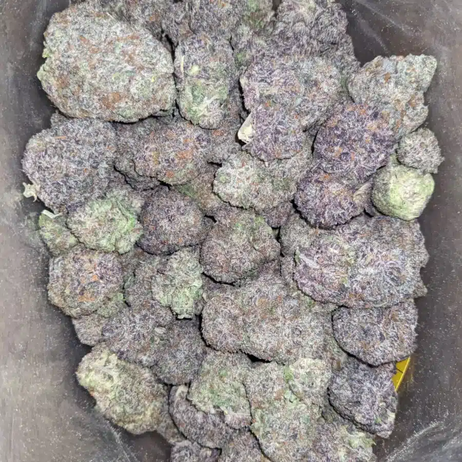 Purple God 1 1 I Purple God