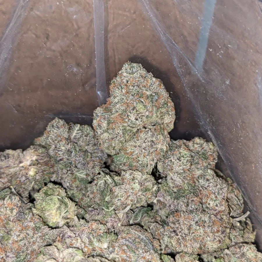 Purple Runtz - Image 4