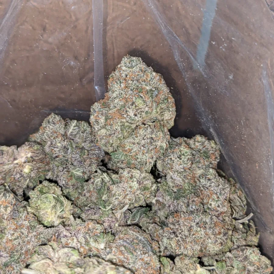 Purple Runtz - Image 5