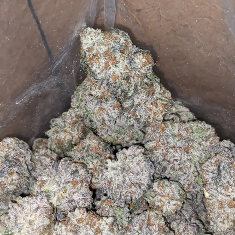 Purple punch 1 1 I Purple Punch