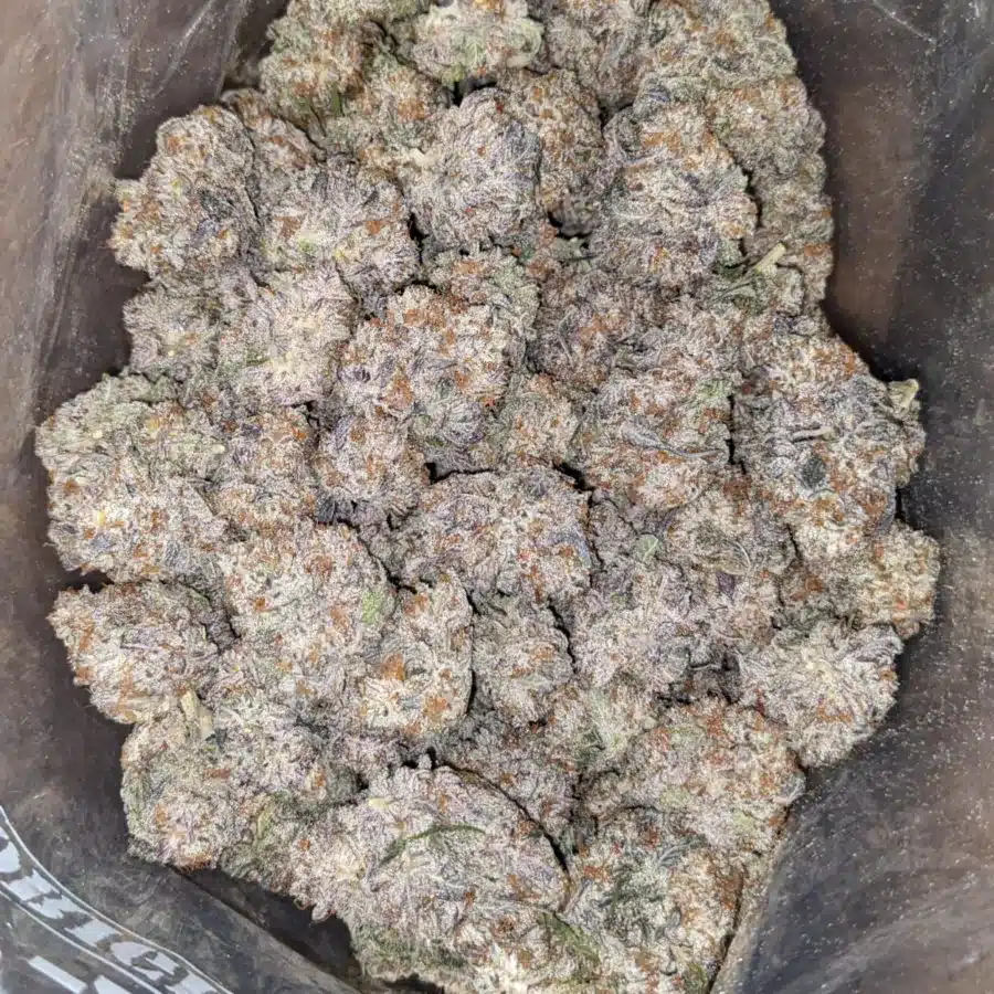 Purple punch 2 1 I Purple Punch