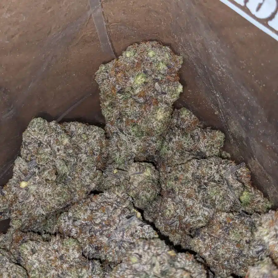 Pussy Pink 3 I Pussy Pink