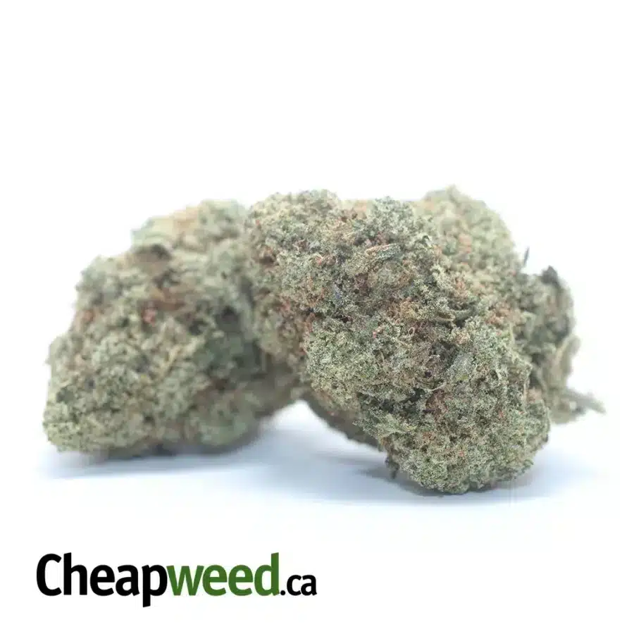 SFV OG 1 I $51oz SFV OG