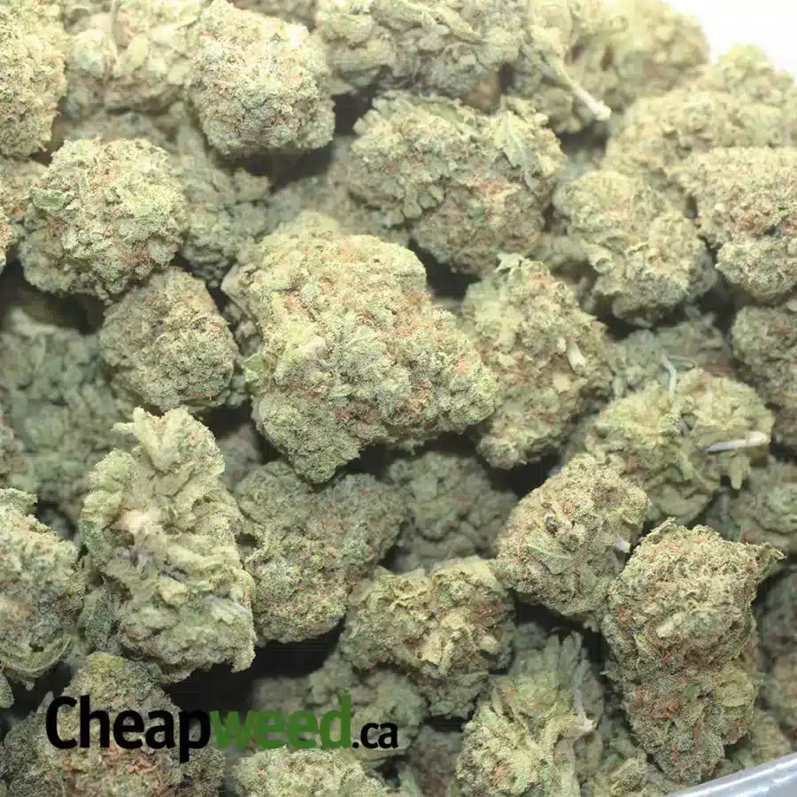 SFV OG 2 I $51oz SFV OG