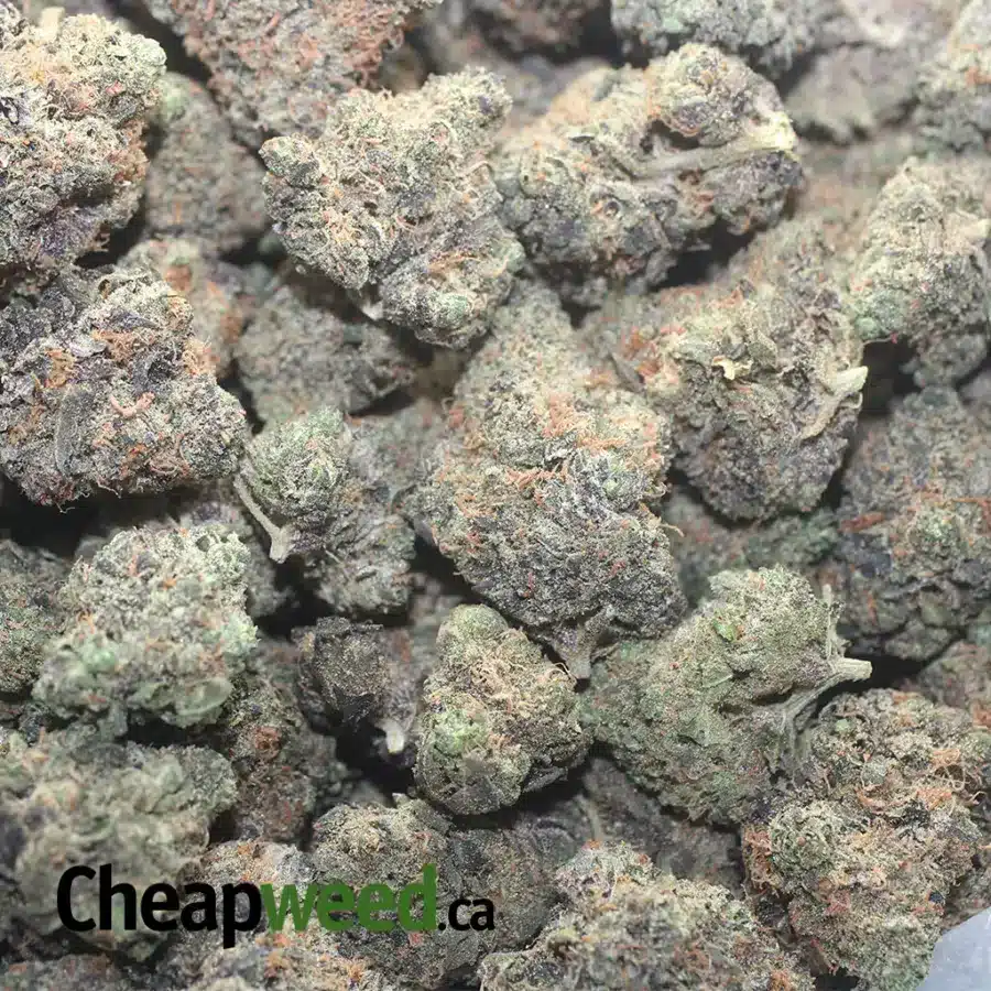 SPACE RUNTS 1 I $ 54 Oz - Space Runtz