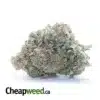Super Lemon Haze