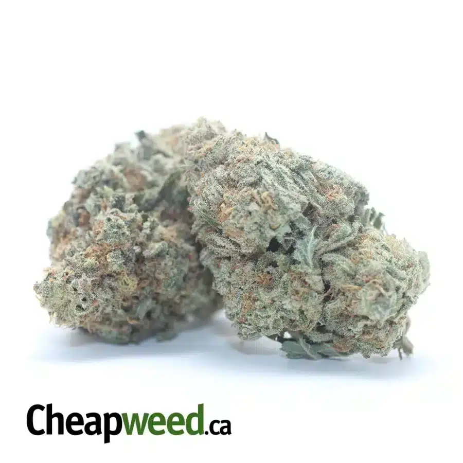 Alternative view of Super Lemon Haze