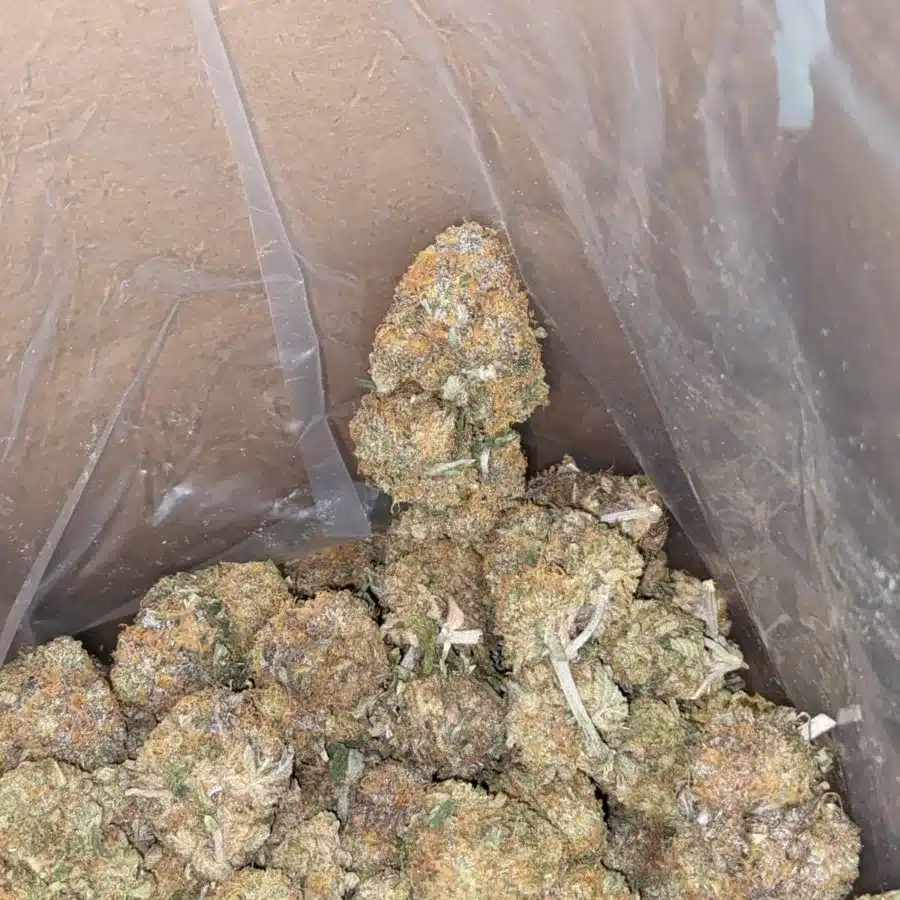 Skunkberry 1 I $ 49 Oz - Skunkberry