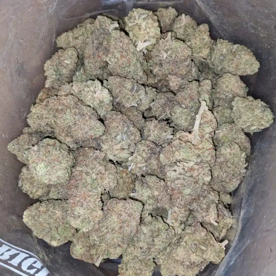 Skunkberry 2 1 I Skunkberry