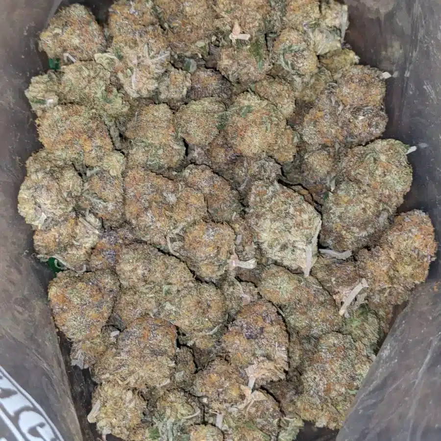 Skunkberry 2 I $ 49 Oz - Skunkberry